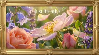 No Sound. Just Peace. 🌸 Sunlit Flower Garden for Deep Calm (2 Hours) screenshot 3