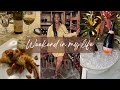 TRAVEL VLOG I Best Girls Trip Ever to San Juan, Bacardi Tour, Wine Tasting, Yacht Day &amp; More!