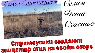 Стремоусики создают эпицентр огня на своём озере