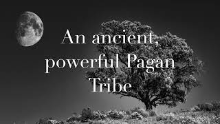 Drina The Earth Sorceress Book Trailer