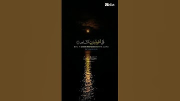 سورة الناس بصوت خاشع يهز القلوب | تلاوة مريحة للنفس والروح 😌📖