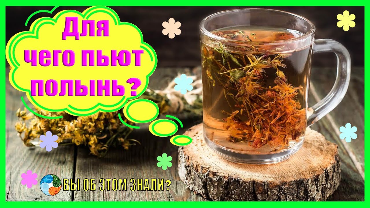 Для чего пьют полынь? Что она лечит.