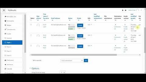 Outcome 13: How to Add Outcome Results to Moodle Course if you Use Offline Assessment