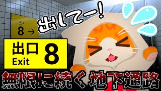 【🚃８番出口👀】８番いでぐち👏👏👏【🐾子猫VTuber😼】
