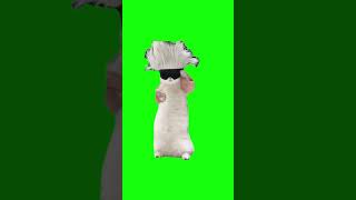 Green Screen Satoru Gojo Cat Dancing #greenscreen