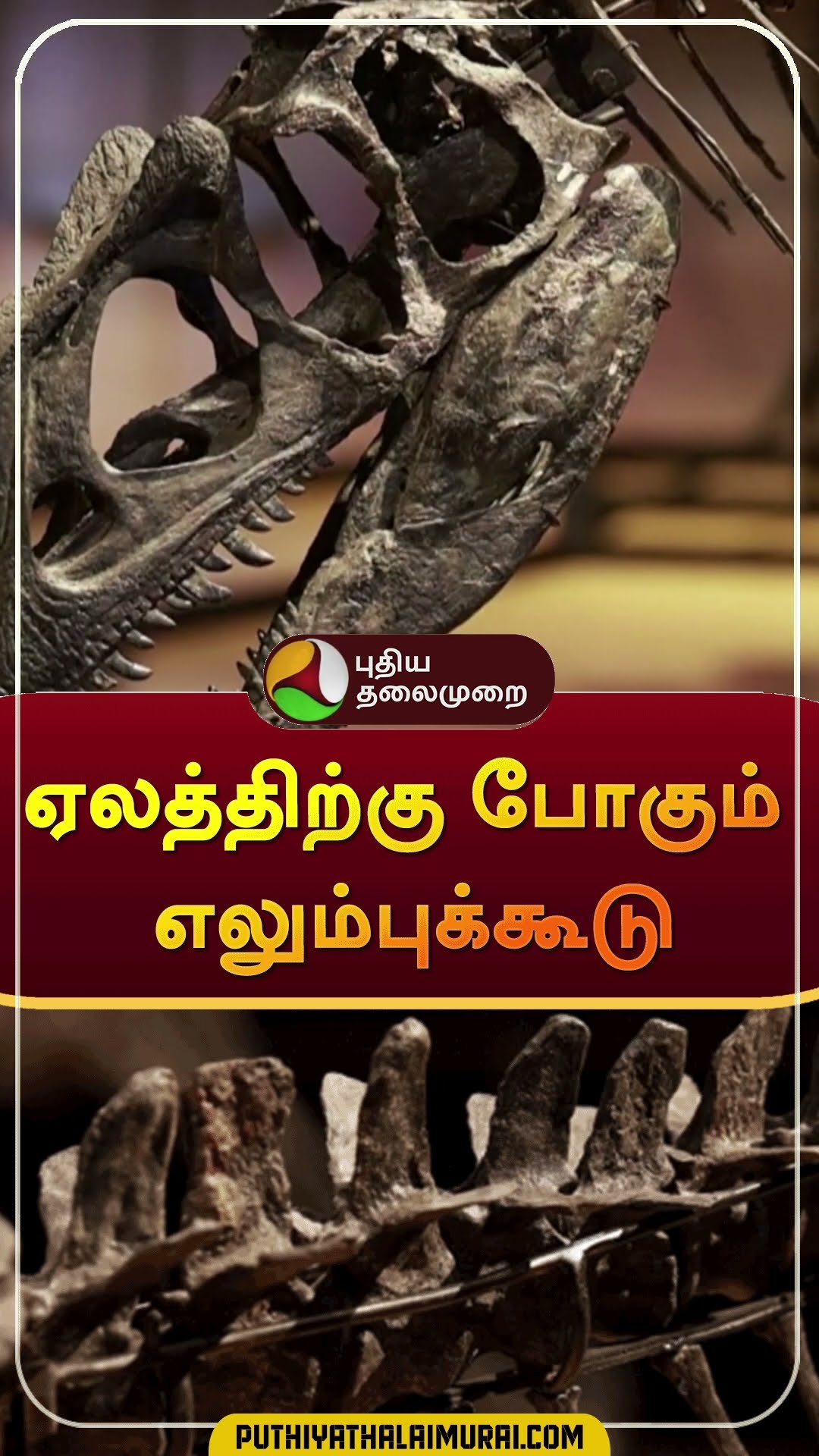 ஏலத்திற்கு போகும் எலும்புக்கூடு | #shorts | #dinosaur | #britain