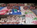 Temperature in pigs ||pig farm|| सुअरो में बुखार || pig farming ||