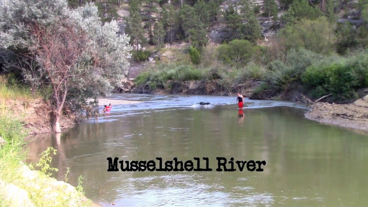 Van Life Roundup, Montana/Cow Belles Campground YouTube