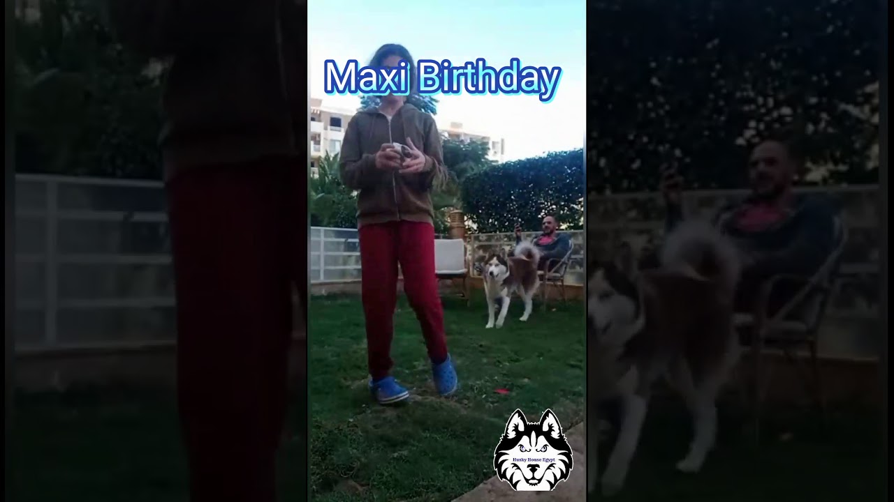 maxi birthday