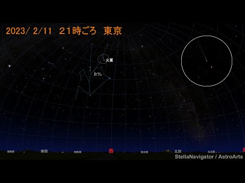 宵空のズィーティーエフ彗星の見え方（2023年1～2月）