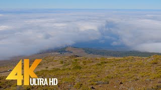 4K Incredible Landscapes of Haleakala National Park, Maui Island, Hawaii - Short Preview Video
