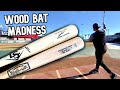 Louisville Slugger VG27 Birch (Vladimir Guerrero) vs. American Batsmith TS28 Birch (Taylor Snyder)