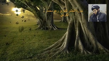 تلاوة عطرة - ✿ سورة الحشر ✿ - للقارئ محمد رعد الكردي ▐جودة عالية ▐