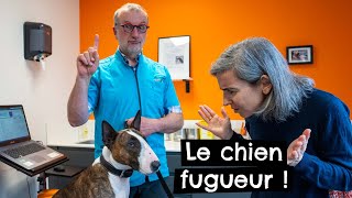 Le chien fugueur ! 🐶 #fugue #chien by Tony et Léon - Conseils de vétérinaires 545 views 6 days ago 16 minutes