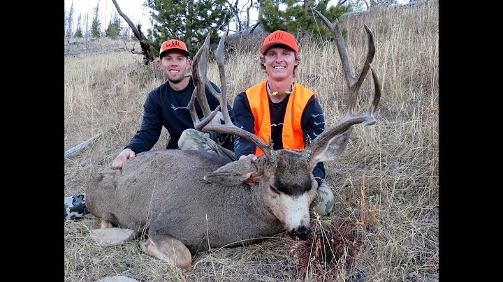 Late Season Back Country Mule Deer Hunt // 208" Stud // Tines Up