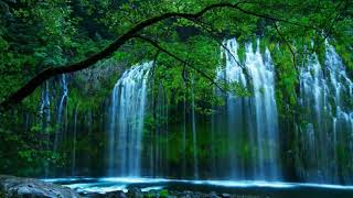 Мухаммад Аль Люхайдан. Сура «Марьям»