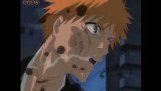 Ichigo e Rukia vs Grimmjow e Privacion Amv