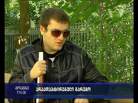 განათლების სამინისტროს პროექტი უსინათლოების ადაპტაციისთვის