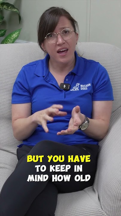 how-long-can-my-dog-stay-in-their-crate-during-the-day-youtube