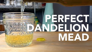 How to make Dandelion Mead | Easy honey wine recipe with springtime flowers and citrus fruits