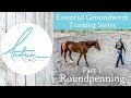 How to Round Pen ANY Horse - Essential Groundwork Part 1