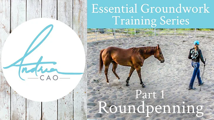 How to Round Pen ANY Horse - Essential Groundwork ...