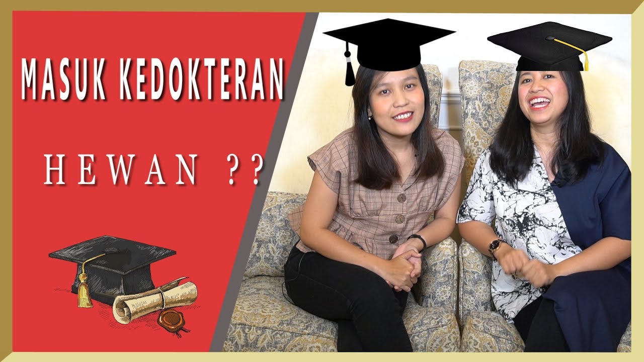 PENGALAMAN KULIAH DOKTER  HEWAN Tips jadi Dokter  Hewan 