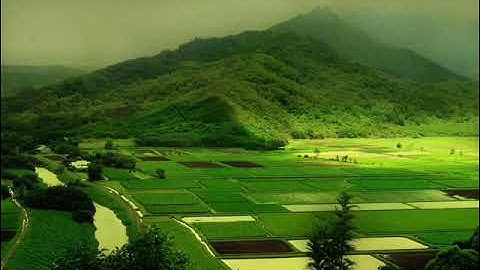 مصحف القارئ محمد عبدالحكيم سورة   المجادلة