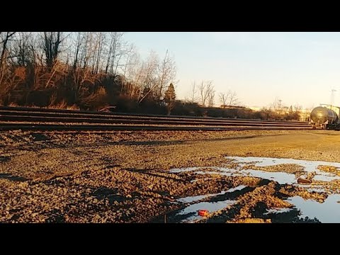 bnsf 5729 Live Canadian Pacific Train Live