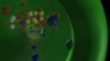 Environmental Monitoring by Acquatic Swarm "Immune System"