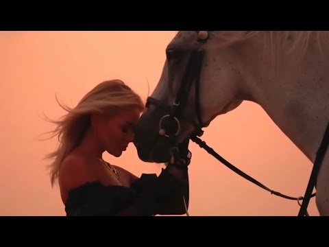 AVALAN ROKSTON Vertigo Horse Riding Visualisation 