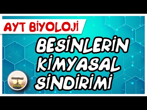 AYT Biyoloji | Besinlerin Kimyasal Sindirimi #sayfa70