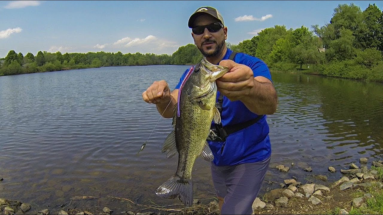 Finesse Bass Fishing From Shore on Heavily Pressured Lakes (Drop Shot