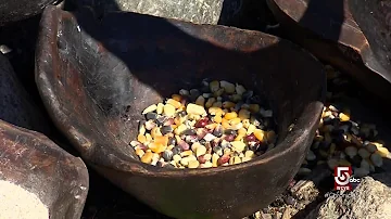 Jak indiáni sušili kukuřici?