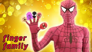 Spiderman & Pink Spidergirl Finger Family ★ Real Life Superhero Daddy Finger Song for Kids & Toddler