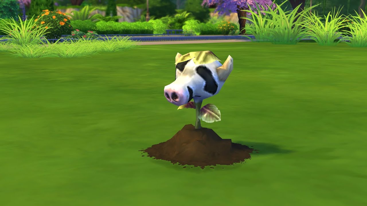Wettangeln Um Die Kuhpflanze 42 Die Sims 4 Wellness Tag An Die Arbeit Let S Play The Sims 4 Youtube