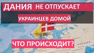 Почему Дания НЕ ОТПУСКАЕТ украинцев. Сколько получают беженцы в Дании и как получить работу