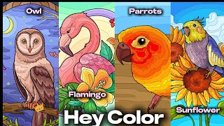 Bird Video Collection 01 Hey Color Paint by Numbers app #coloringbook #compilation #nature screenshot 2