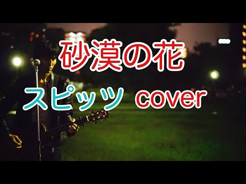 砂漠の花　スピッツ（spitz）　弾き語り　カバー／浅井しんや