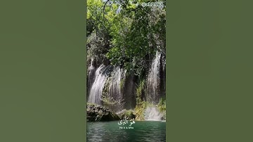 #قران_كريم ‬⁩ الشيخ ياسر الدوسري  ماتيسر من سورة الأحزاب اكتب شي تؤجرعليه 🤍🌿🤍