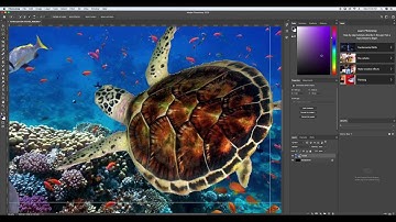 Step 1 KEN BURN effect PHOTOSHOP