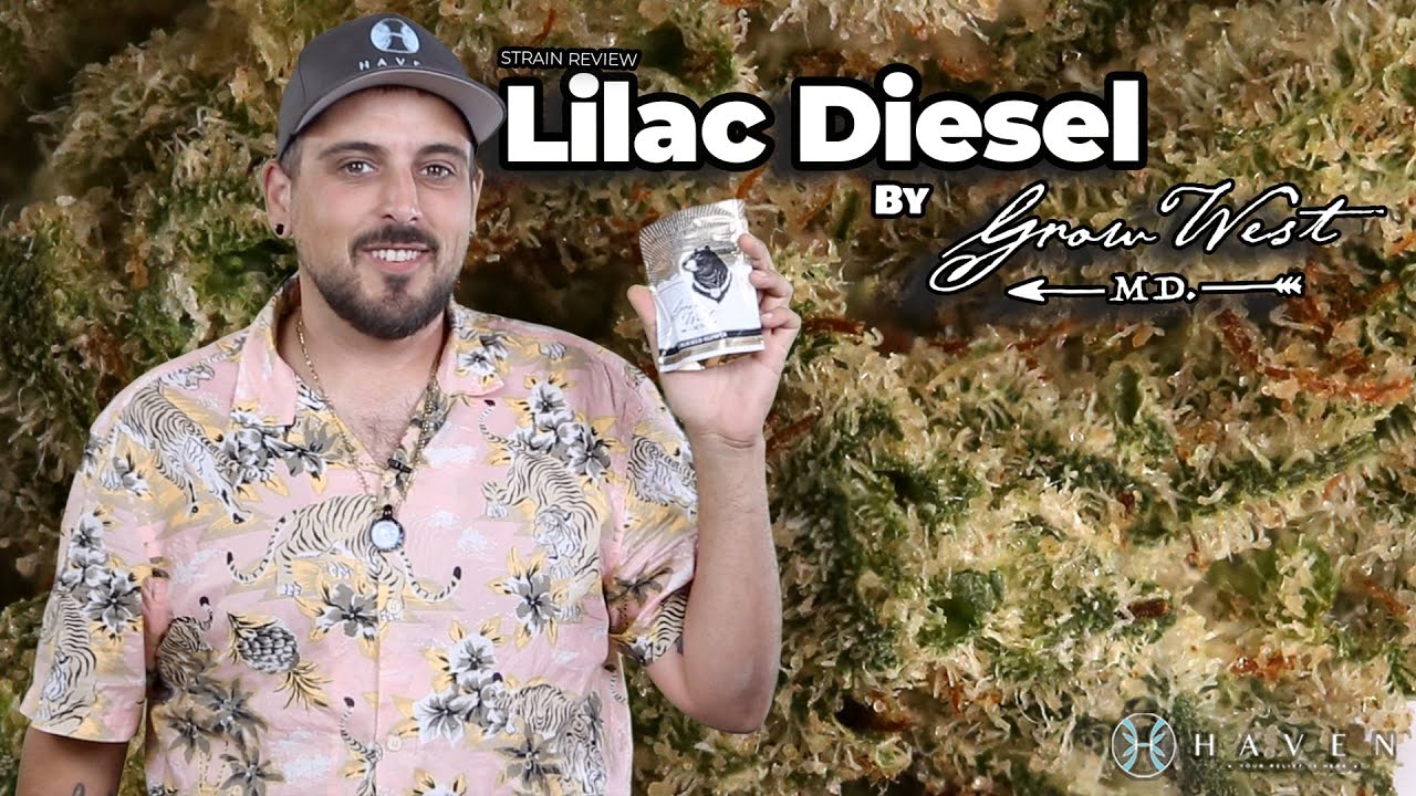 Lilac Diesel by Grow West
