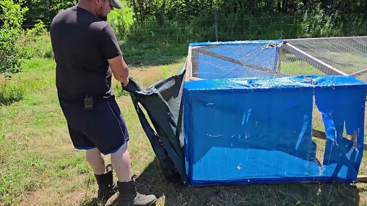 Temporary Layer Tractor