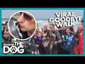 Hundreds Join Old Dog On His Last Walk | It's Me Or The Dog