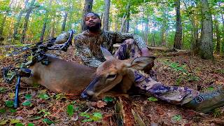 My QUICKEST Hunt! Public Land DOE! (Feed Tree)