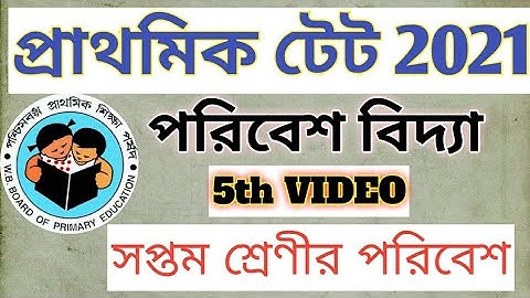 CLASS 7 EVS|| সপ্তম শ্রেণীর পরিবেশ আলোচনা।। Class 7 science.Primary tet preparation 2021||webtet2021