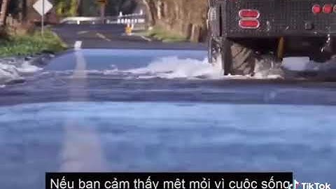 CÁ LỘI NGƯỢC DÒNG