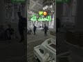 اللهم صل وسلم على نبينا محمد وعلى آله وصحبه أجمعين وسلم تسليما كثيرا إلى يوم الدين اللهم صل وسلم على نبينا محمد وعلى آله وصحبه أجمعين وسلم تسليما كثيرا إلى يوم الدين