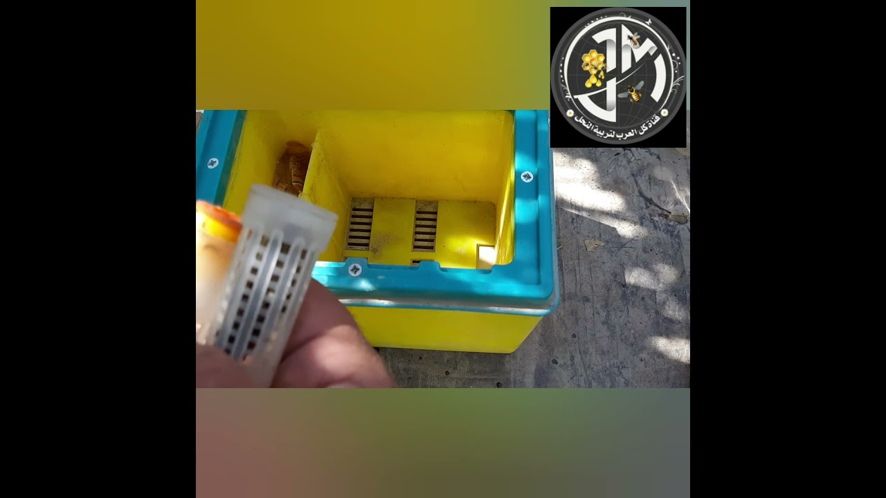 استخدام نويات تلقيح الملكات وطرقها المتنوعة