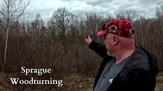 Woodturning - The Future Home of Sprague Woodturning by Sprague Woodturning 8,526 views 3 weeks ago 18 minutes